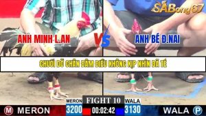 Trận 10 Bồ Gà C3 30/11/2025