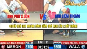 Trận 11 Bồ Gà C6 Ngày 1/11/2025