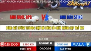 Trận 11 Bồ Gà Tonhon 28/11/2025