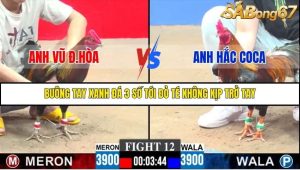 Trận 12 Bồ Gà C3 30/11/2025