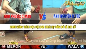 Trận 12 Bồ Gà C4 Ngày 17/11/2025