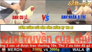 Trận 12 Bồ Gà C5 Ngày 8/11/2025