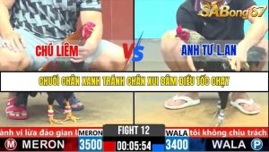 Trận 12 Bồ Gà C6 Ngày 1/11/2025