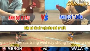 Trận 13 Bồ Gà C4 Ngày 16/11/2025