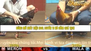 Trận 13 Bồ Gà C4 Ngày 18/11/2025