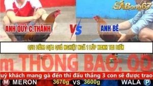 Trận 13 Bồ Gà C4 Ngày 21/11/2025