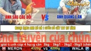 Trận 13 Bồ Gà C5 Ngày 26/11/2025