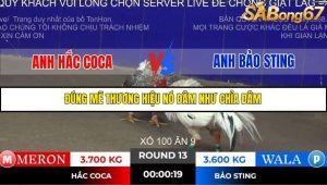 Trận 13 Bồ Gà Tonhon ngày 2/11/2025