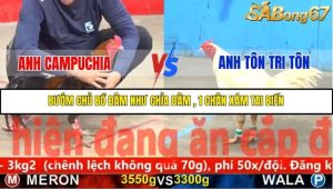 Trận 14 Bồ Gà C5 Ngày 10/11/2025