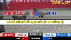 Trận 14 Bồ Gà Tonhon 28/11/2025