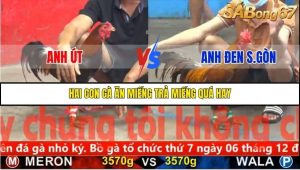 Trận 15 Bồ Gà C5 29/11/2025