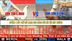 Trận 15 Bồ Gà C5 Ngày 17/11/2025