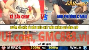 Trận 15 Bồ Gà C5 Ngày 20/11/2025