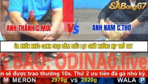 Trận 15 Bồ Gà C5 Ngày 21/11/2025