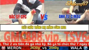 Trận 15 Bồ Gà C5 Ngày 26/11/2025
