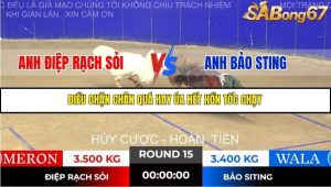 Trận 15 Bồ Gà Tonhon 14/11/2025