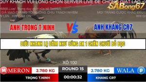 Trận 15 Bồ Gà Tonhon ngày 2/11/2025