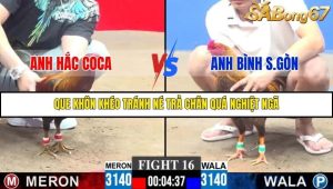 Trận 16 Bồ Gà C3 30/11/2025