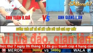 Trận 16 Bồ Gà C5 Ngày 21/11/2025