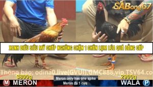 Trận 17 Bồ Gà C4 14/11/2025