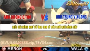 Trận 17 Bồ Gà C4 Ngày 11/11/2025