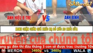 Trận 17 Bồ Gà C5 29/11/2025