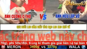 Trận 17 Bồ Gà C5 Ngày 18/11/2025