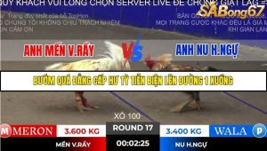 Trận 17 Bồ Gà Tonhon ngày 2/11/2025