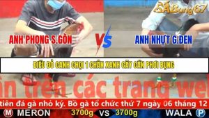 Trận 18 Bồ Gà C5 27/11/2025