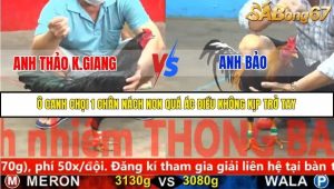Trận 18 Bồ Gà C5 Ngày 18/11/2025
