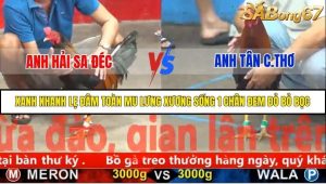 Trận 19 Bồ Gà C5 Ngày 19/11/2025