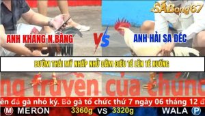 Trận 19 Bồ Gà C5 Ngày 21/11/2025