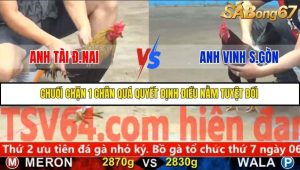 Trận 19 Bồ Gà C5 Ngày 25/11/2025