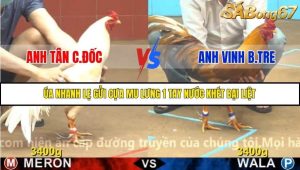 Trận 2 Bồ Gà C4 Ngày 16/11/2025