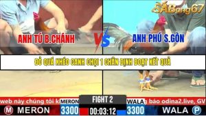 Trận 2 Bồ Gà C6 Ngày 1/11/2025