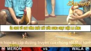 Trận 2 Bồ Gà CPC4 Ngày 24/11/2025