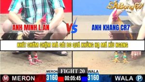 Trận 20 Bồ Gà C3 30/11/2025