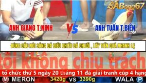 Trận 20 Bồ Gà C5 Ngày 16/11/2025