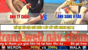 Trận 20 Bồ Gà C5 Ngày 20/11/2025