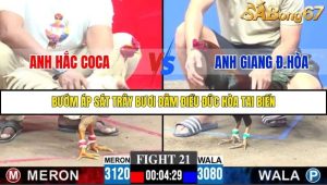 Trận 21 Bồ Gà C3 30/11/2025