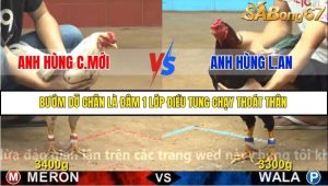 Trận 21 Bồ Gà C4 Ngày 25/11/2025