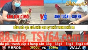 Trận 21 Bồ Gà C5 29/11/2025