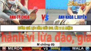 Trận 21 Bồ Gà C5 Ngày 25/11/2025