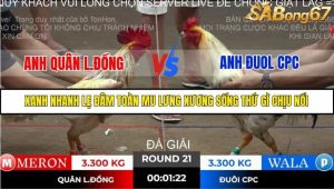 Trận 21 Bồ Gà Tonhon ngày 2/11/2025