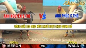 Trận 22 Bồ Gà C4 Ngày 17/11/2025