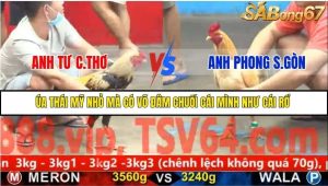 Trận 22 Bồ Gà C5 27/11/2025