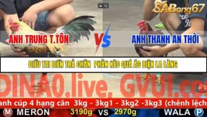 Trận 22 Bồ Gà C5 Ngày 25/11/2025