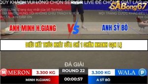 Trận 22 Bồ Gà Tonhon ngày 2/11/2025