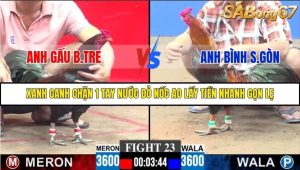 Trận 23 Bồ Gà C3 30/11/2025