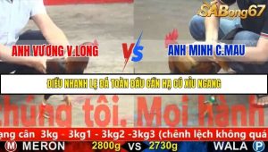 Trận 23 Bồ Gà C5 29/11/2025